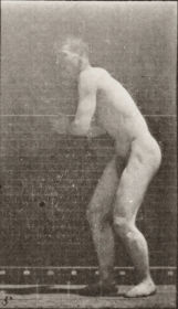 Plate 281 Baseball, catching and throwing — figure reference